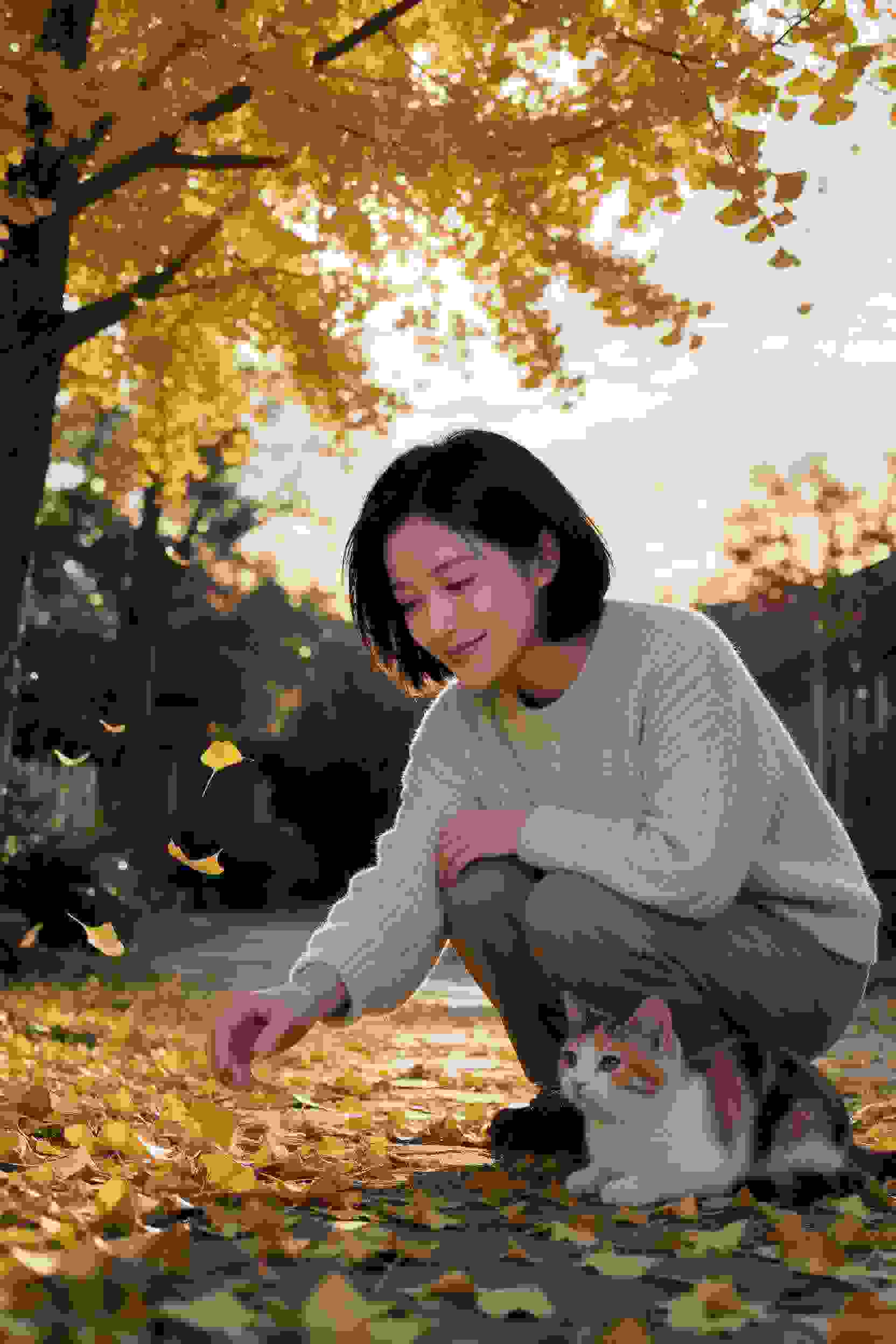 喜剧4